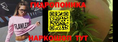гидропоника Наро-Фоминск